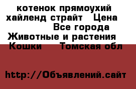 котенок прямоухий  хайленд страйт › Цена ­ 10 000 - Все города Животные и растения » Кошки   . Томская обл.